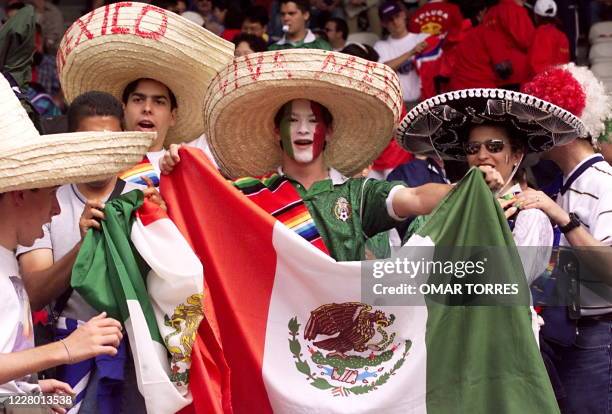 Mexican supporters display their national flag at Stade de Gerland in Lyon before the 1998 Soccer World Cup Group E first round match between South...