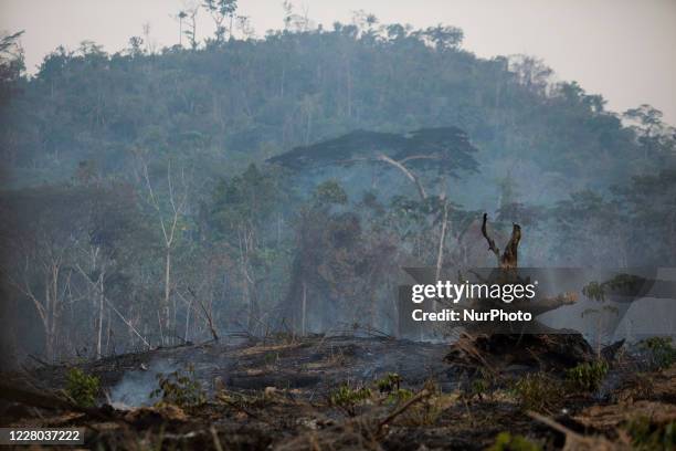 Smoke from burning in the Amazon rainforest on August 13, 2020. The Brazilian government has banned fires across the country. Despite the veto,...