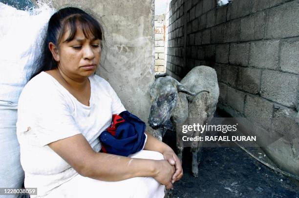 An unidentified woman sits outside her home along with one of her sheep burned by the blast of a PEMEX state company gas pipeline, 06 June 2003 in...