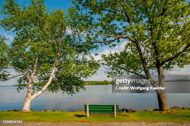 Bench on the shore of the Ottawa River at Montebello in the Laurentians in Quebec Province, Canada.