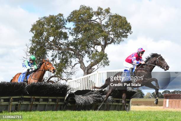 Rexmont ridden by Thomas Sadler jumps a hurdle on the way to winning the Vickery Bros Maiden Hurdle at Coleraine Racecourse on August 16, 2020 in...