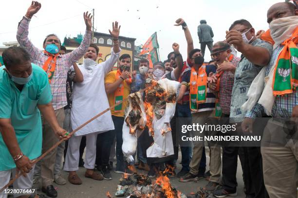 Bharatiya Janata Party activists shout slogans as they burn an effigy of Punjab Chief Minister Amarinder Singh during a protest against Punjab...