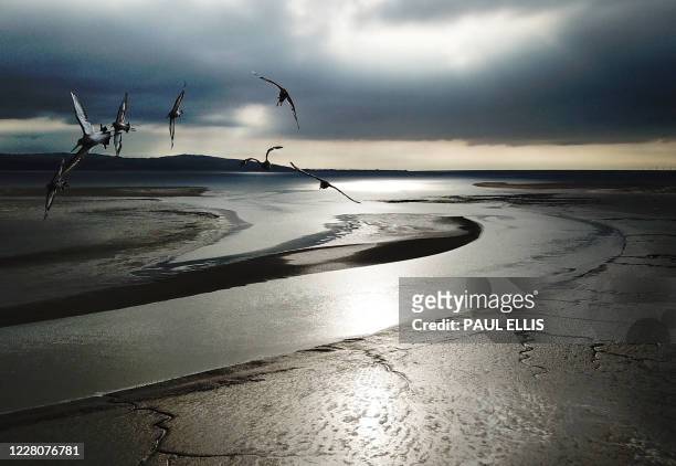 An aerial photo shows birds flying across the estuary of the River Dee near Caldy in northwest England on August 16 as the sun starts to set behind...