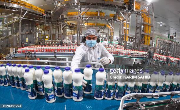 Picture shows the milk production line at the UAE's Rawabi factory in Dubai on July 29, 2020. - Dubai, like the other six emirates that make up the...