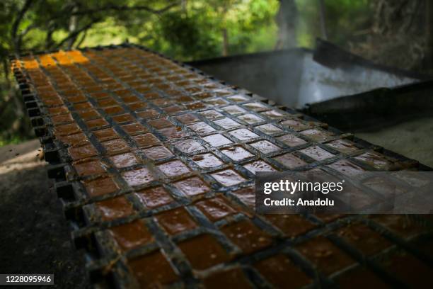 Farmers harvest sugar cane and boil the juice to help it crystallize, as they have for centuries in Viani, Cundinamarca on August 18, 2020. Made by...