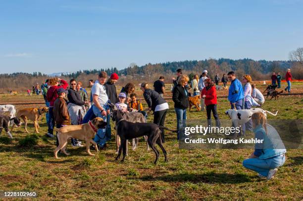 People with dogs in the 40-acre off-leash dog park in Marymoor Park, Redmond, Washington State, USA.