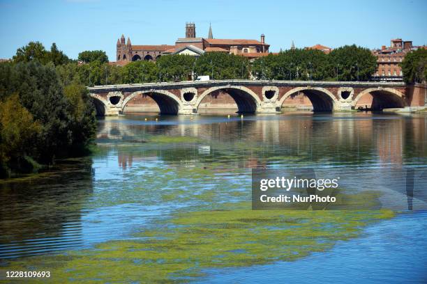 Eutrophication of the Garonne river in toulouse. He Garonne river is near its record low levels due to a lack of rain since the beginning of 2020 and...