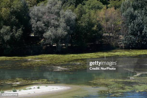 Eutrophication and low water level of the Garonne' river in toulouse. The Garonne river is near its record low levels due to a lack of rain since the...