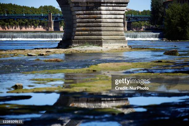 Pile is seen on the Garonne' river.The Garonne river is near its record low levels due to a lack of rain since the beginning of 2020 and a scorching...