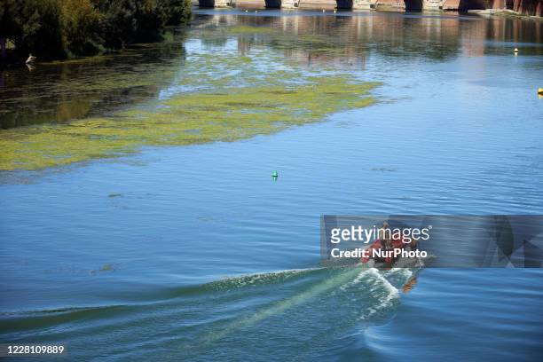 People play water skiing near a patch of algae in the Garonne river. The Garonne river is near its record low levels due to a lack of rain since the...