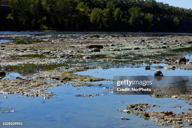 The Garonne river is near its record low levels due to a lack of rain since the beginning of 2020 and a scorching heat during several periods of peak...