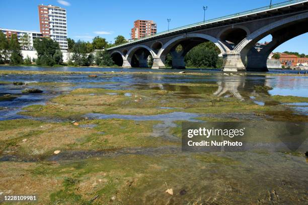 The Garonne river is near its record low levels due to a lack of rain since the beginning of 2020 and a scorching heat during several periods of peak...