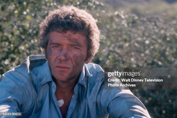 Robert Reed Scene Robert Reed appearing in the ABC tv movie 'SST: Death Flight'. News ...