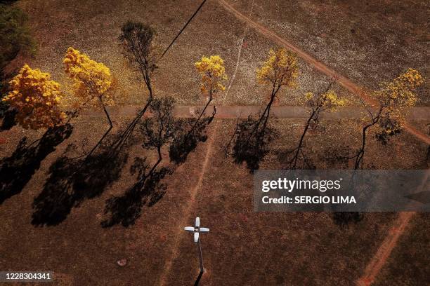 Arial view of yellow ipe or lapacho in the central region of Brasilia on September 1, 2020.