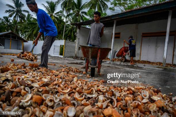Copra Processing Methods 67 Copra Production Stock Photos, High-Res Pictures, and Images - Getty ...