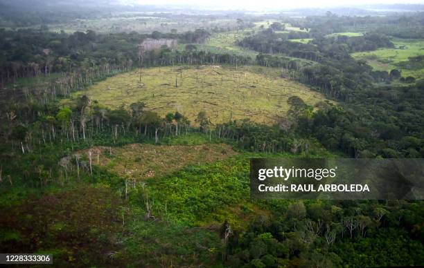 General aerial view of coca field at the Natural National Park in La Macarena, Meta Department, Colombia, on September 3, 2020. - Soldiers carry out...