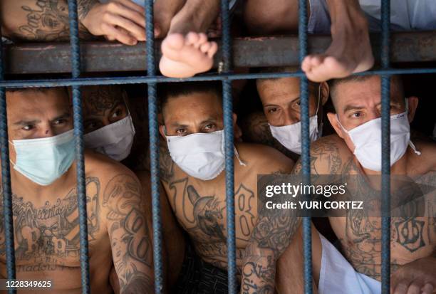 2,345 Mara Salvatrucha Photos and Premium High Res Pictures - Getty Images 2,345 Mara Salvatrucha Photos and Premium High Res Pictures - Getty Images