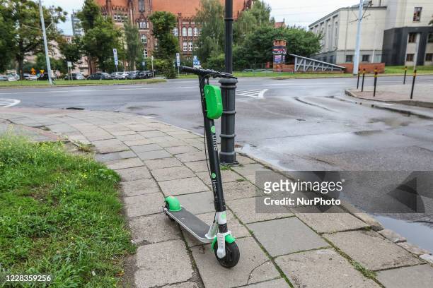 Specialisere skære grave 1,224 Lime Scooter Stock Photos, High-Res Pictures, and Images - Getty  Images