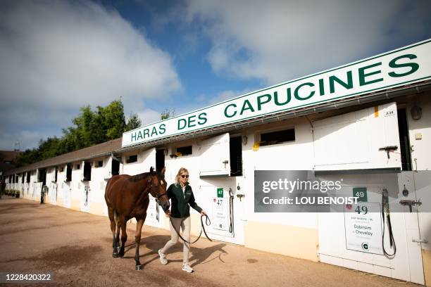 Horse is presented at the "Haras des Capucines" ahead the begining of the 2020 yearling auctions in Deauville, northwestern France, on September 9,...