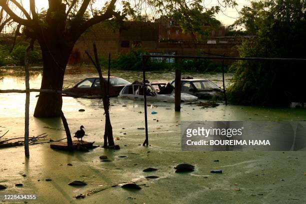 Cars that drifted away due to flood waters from the Niger river are seen in Niamey on September 9 after heavy torrential rain.