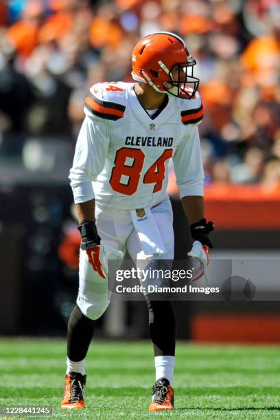 Tight end Rob Housler of the Cleveland Browns waits for the snap in the first quarter of a game against the Tennessee Titans on September 20, 2015 at...