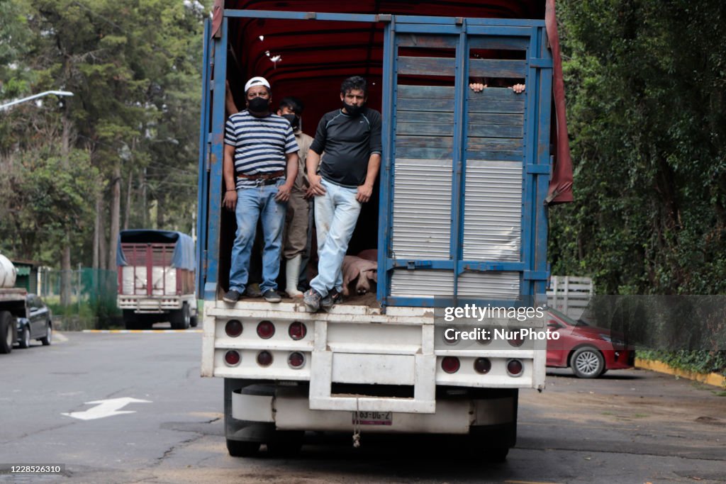 Xochimilco Mayor's Office Delivers 50 Pork Packages To Families Affected By The Health Emergency COVID-19