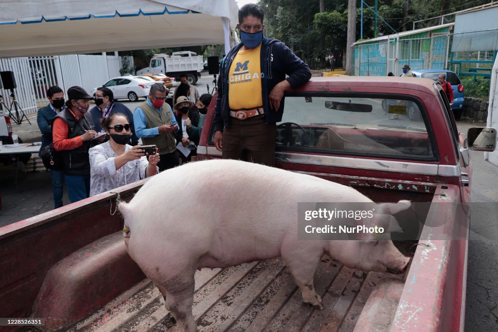 Xochimilco Mayor's Office Delivers 50 Pork Packages To Families Affected By The Health Emergency COVID-19