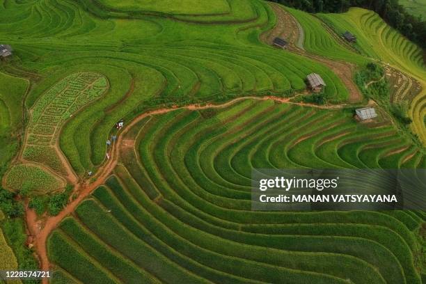 This aerial photograph shows terraced rice fields in northern Vietnam's Mu Cang Chai district on September 18, 2020.