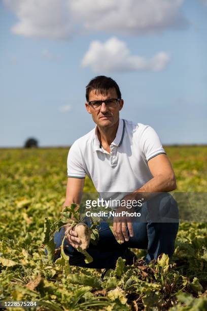 Portrait of Sebastien Dromigny in his beet farm. The beet yellowing virus can cause yield losses of up to 30% and 50%, directly threatening the...