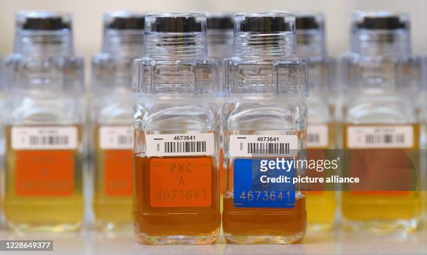 September 2020, Saxony, Kreischa: Urine samples from athletes are placed on a table in the doping control laboratory at the Institute for Doping...