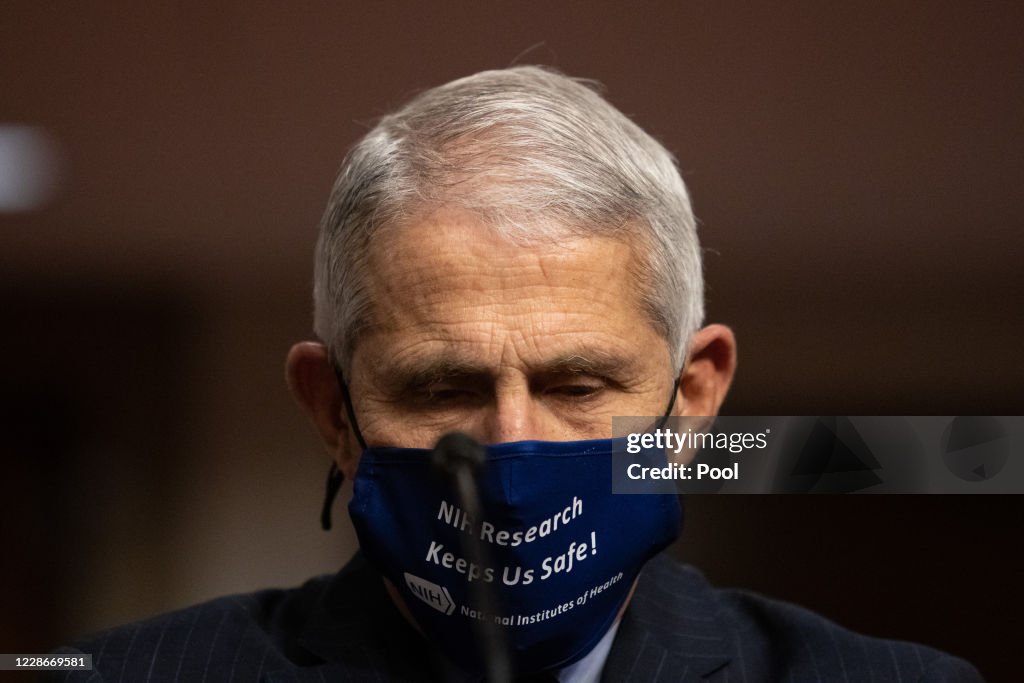 Dr. Anthony Fauci Testifies Before Senate On Federal Response To Pandemic