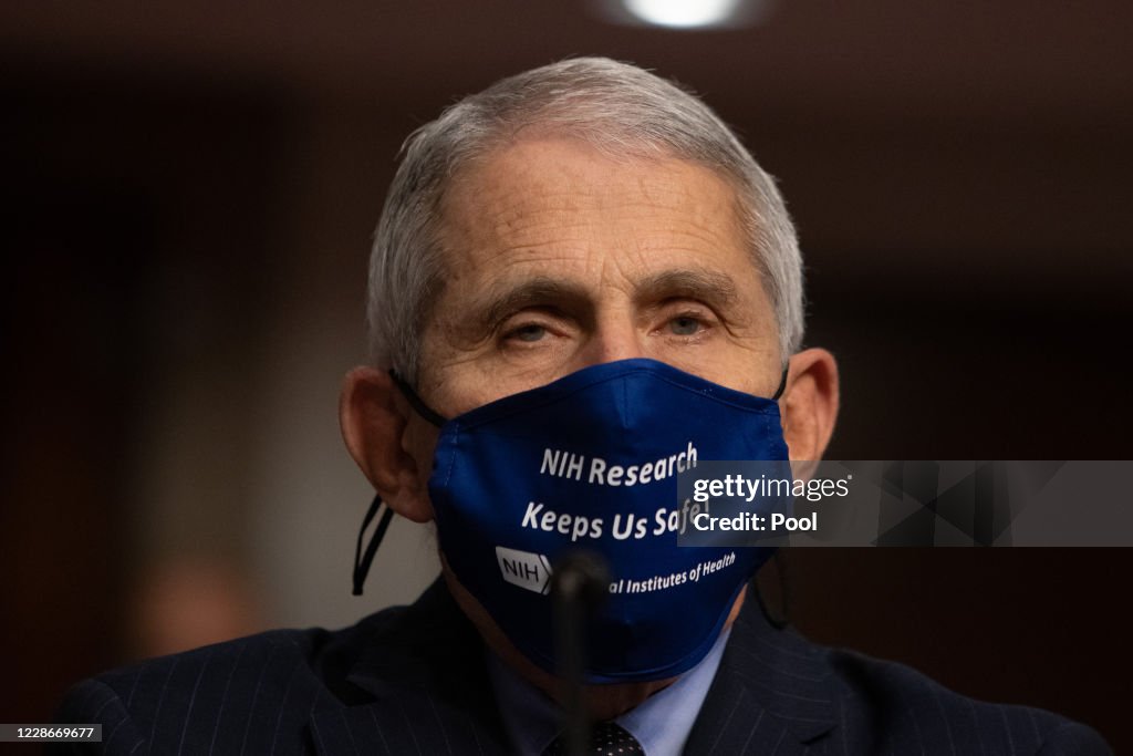 Dr. Anthony Fauci Testifies Before Senate On Federal Response To Pandemic