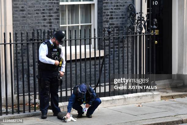 Larry the cat, receives attention outside number 10 Downing street in central London on September 24, 2020. - Finance Minister Rishi Sunak will...
