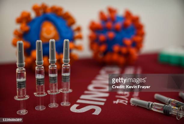 Syringes of the potential COVID-19 vaccine CoronaVac are seen on a table at Sinovac Biotech where the company is producing their potential COVID-19...