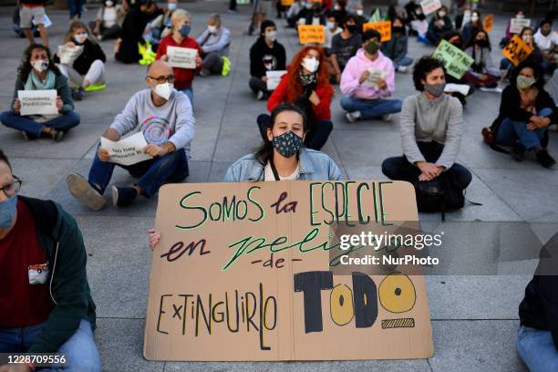 Protester hold a placard reading `We're a species in danger of extinction?during the Global Climate Action Day event in Madrid, Spain on 25th...