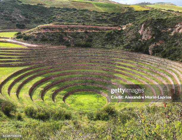 giant amphitheater, divided by agricultural terraces built in depressions or giant natural holes known as the moray archaeological site in cuzco / peru - moray cusco fotografías e imágenes de stock