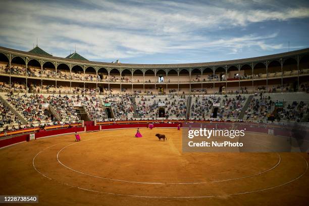 Bull Ranch Arena 1,388 Bullring Bullfight Arena Stock Photos, High-Res Pictures, and ...