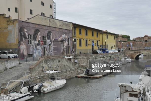 General view of the mural 'Fiori di Glicine' by Italian street artist Ligama on September 27, 2020 in Livorno, Italy. The mural celebrates the 'Leggi...