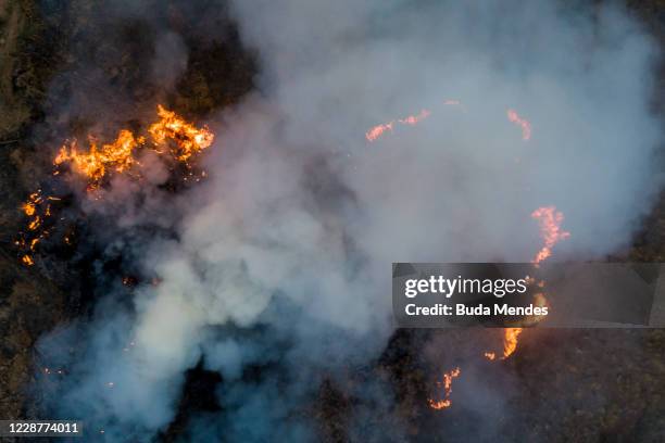 An aerial view of a fire burning next to the Transpantaneira, a road that crosses the Pantanal on September 25, 2020 in Pocone, Brazil. Pantanal is...