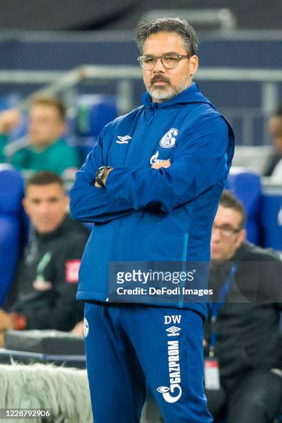 Head coach David Wagner of FC Schalke 04 looks on during the Bundesliga match between FC Schalke 04 and SV Werder Bremen at Veltins-Arena on...