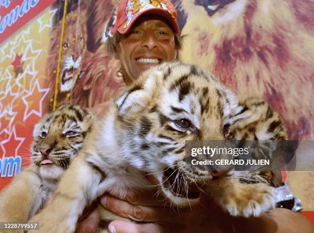 Le dresseur de fauves de cirque Frédéric Edelstein présente le 04 mai 2009, trois des quatre bébés tigres nés au cours du mois d'avril 2009 au cirque...