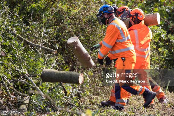 Tree surgeons working on behalf of HS2 Ltd fell trees in Denham Country Park for works connected to the HS2 high-speed rail link on 29 September 2020...