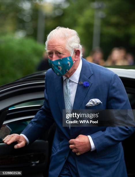 Prince Charles Face Mask Prince Charles Face Mask
