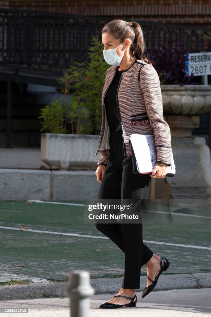 Queen Letizia Of Spain Attends A Meeting With Red Cross Spain