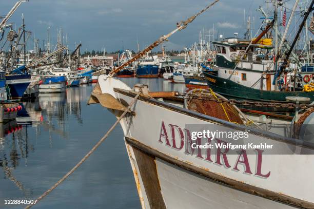 In Fish Terminal 64 Fishermens Terminal Stock Photos, High-Res Pictures, and Images ...