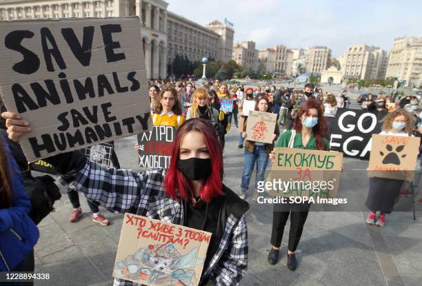 805 Protest Against Use Of Animals In Circuses Photos and Premium High Res  Pictures - Getty Images