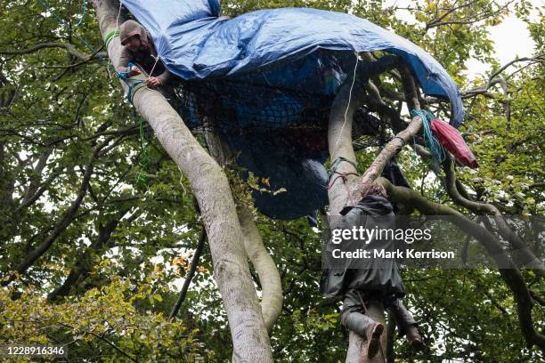 Swampy Rope 25 Tarpaulin Canopies Stock Photos, High-Res Pictures, and Images ...