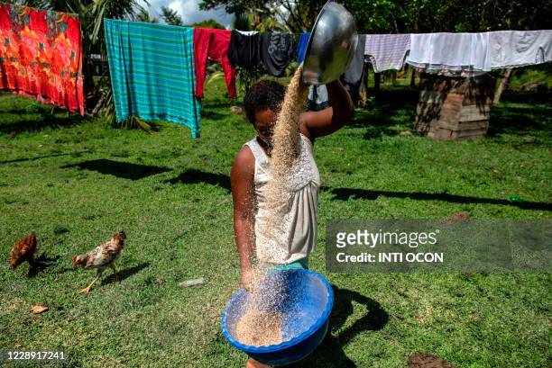 Miskito indigenous woman cleans rice in the community of Sangnilaya, Puerto Cabezas, North Caribbean Coast Autonomous Region of Nicaragua, on...