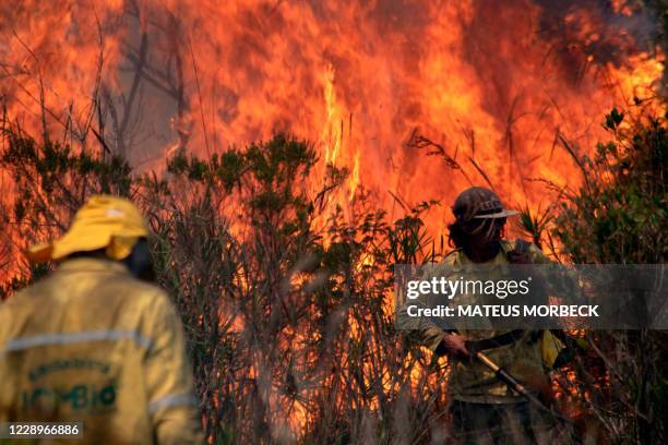 Members of the Fire Brigade of the Chico Mendes Institute for Biodiversity Conservation combat a fire at the Chapada Diamantina region, between the...