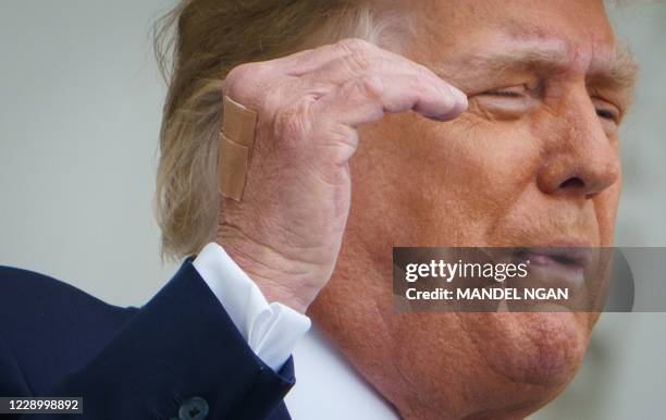 Trump Iv 7,735 Donald Trump Hand Stock Photos, High-Res Pictures, and Images ...